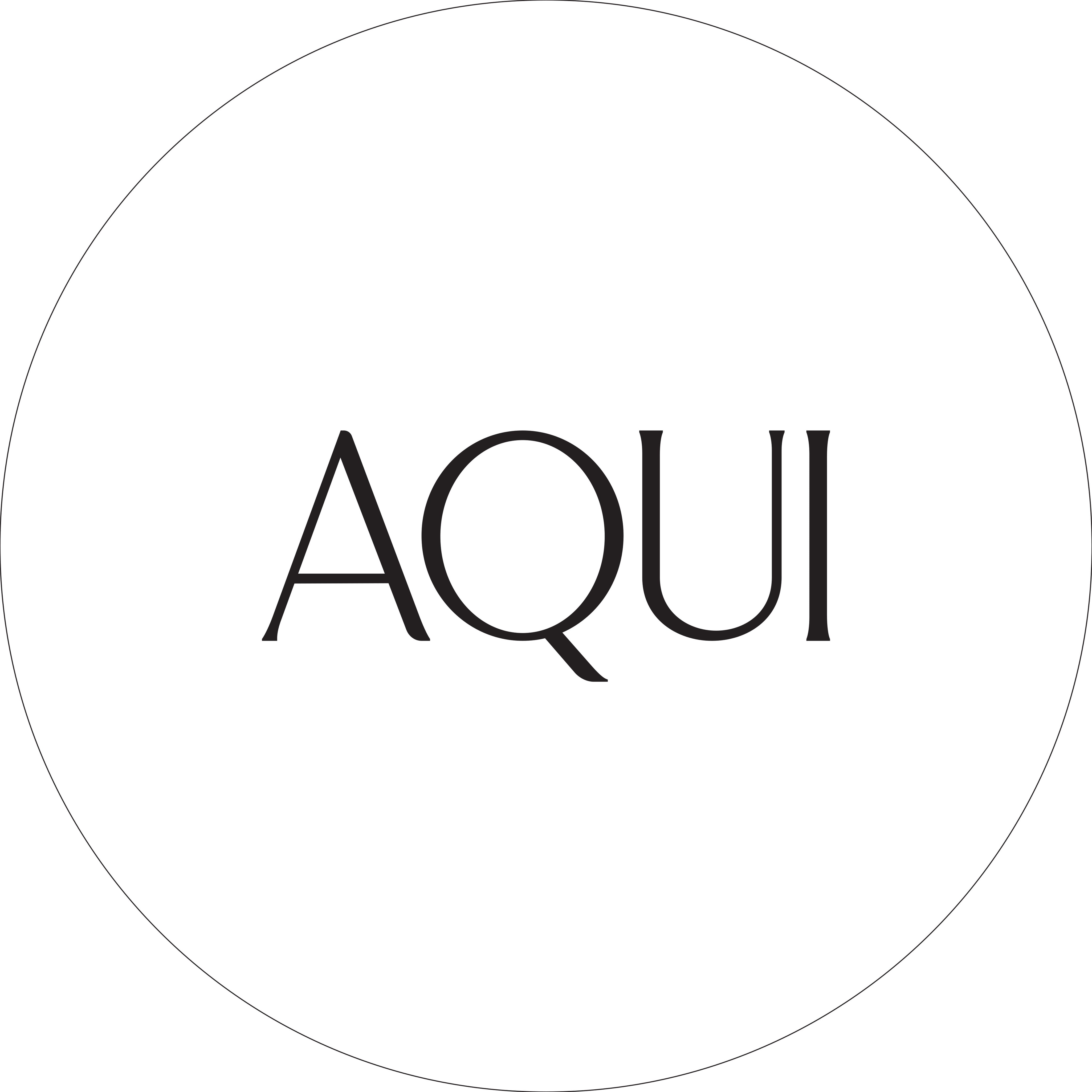 AQUI_Logo.jpg