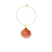 ST TROPEZ with natural Seashell