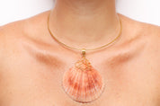 ST TROPEZ with natural Seashell