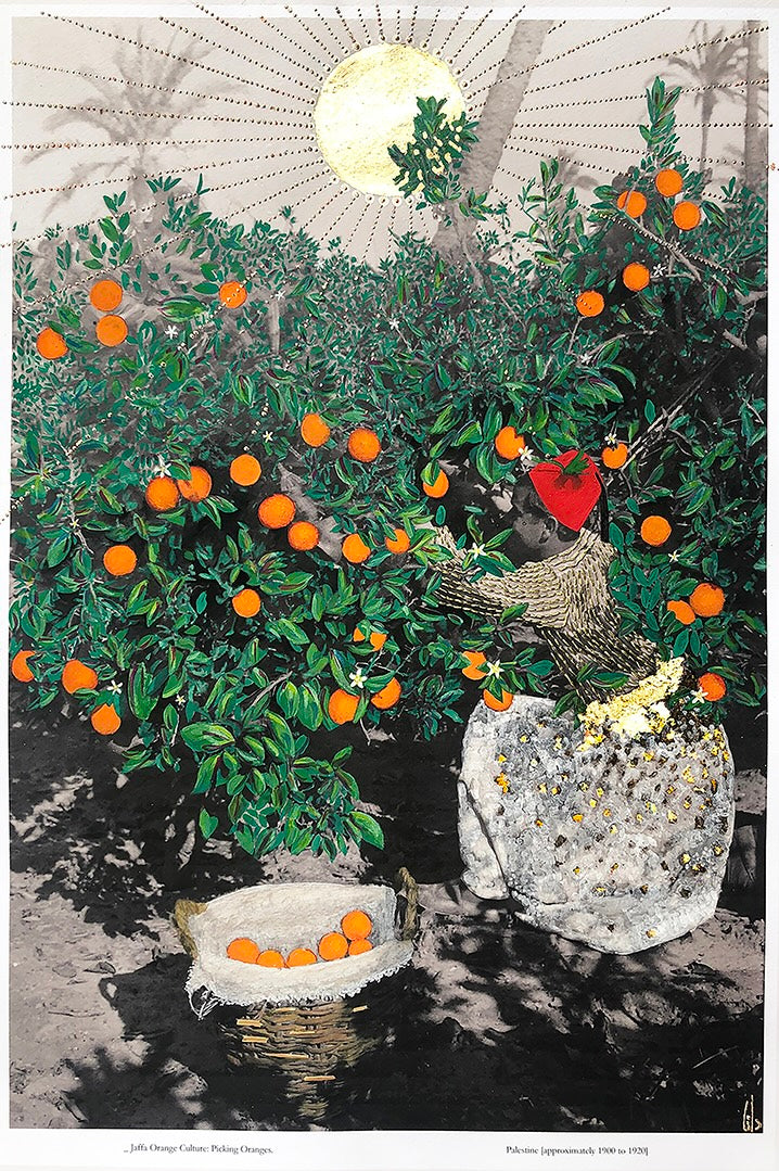 Illustration of an orange tree with oranges, a basket, and a heart-shaped object.
