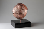 Disrupted Sphere