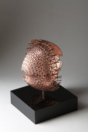 Disrupted Sphere