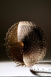 Disrupted Sphere
