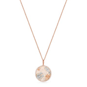 Ocean's Oddessy Necklace