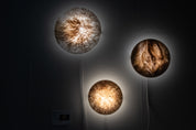 Solar Appliques