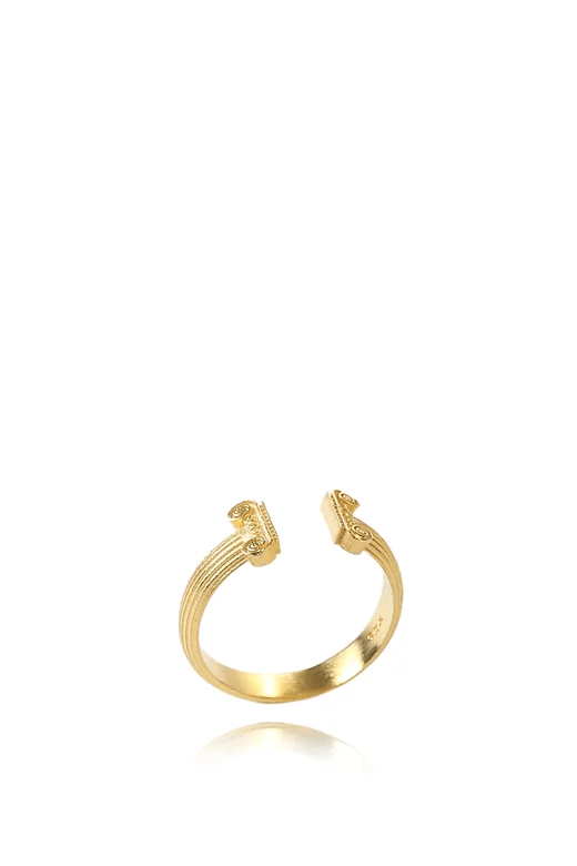 The Ionic Ring