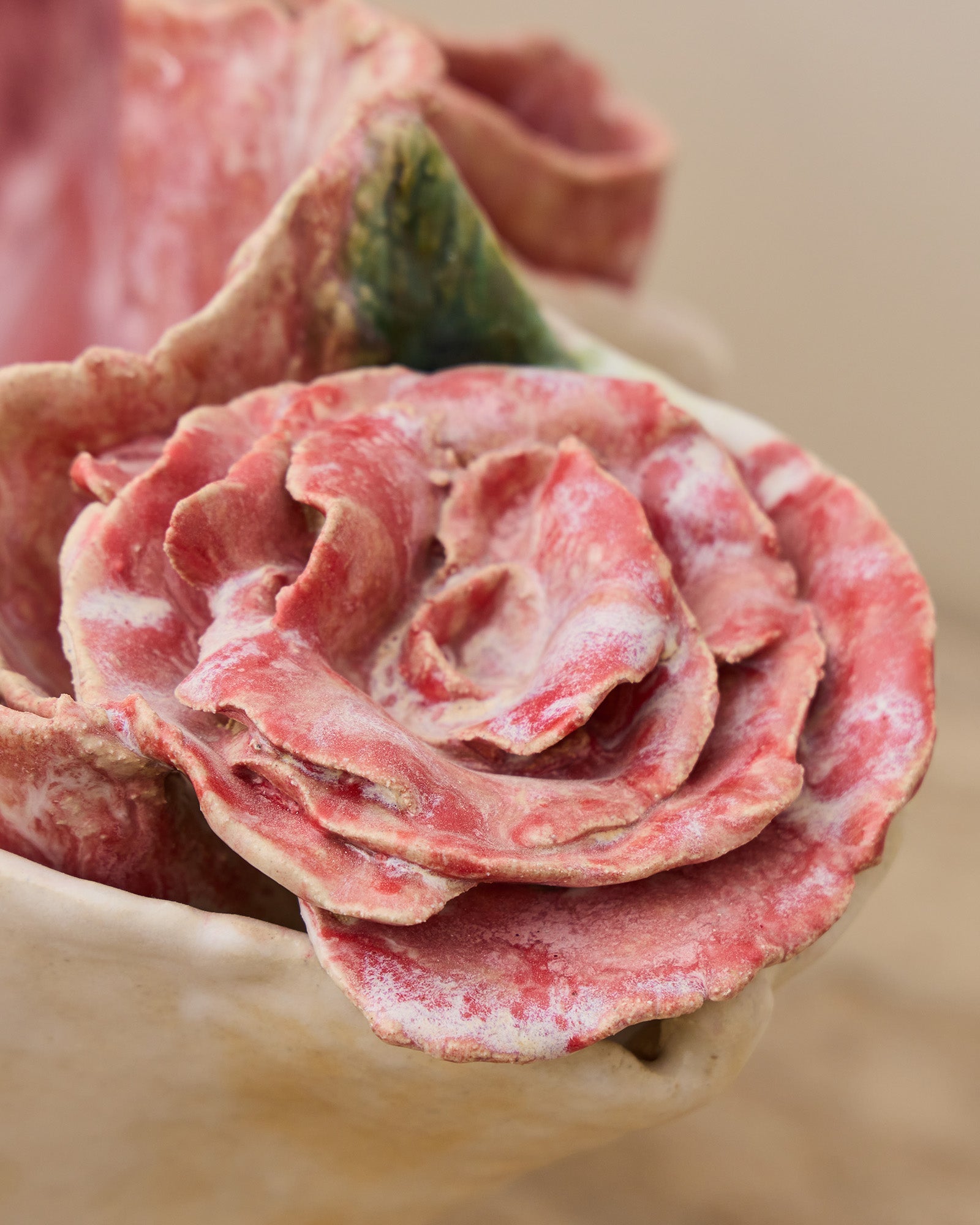Rose Reverie