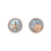 Conch Earrings