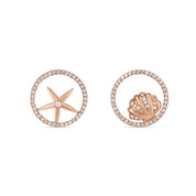 Conch Earrings