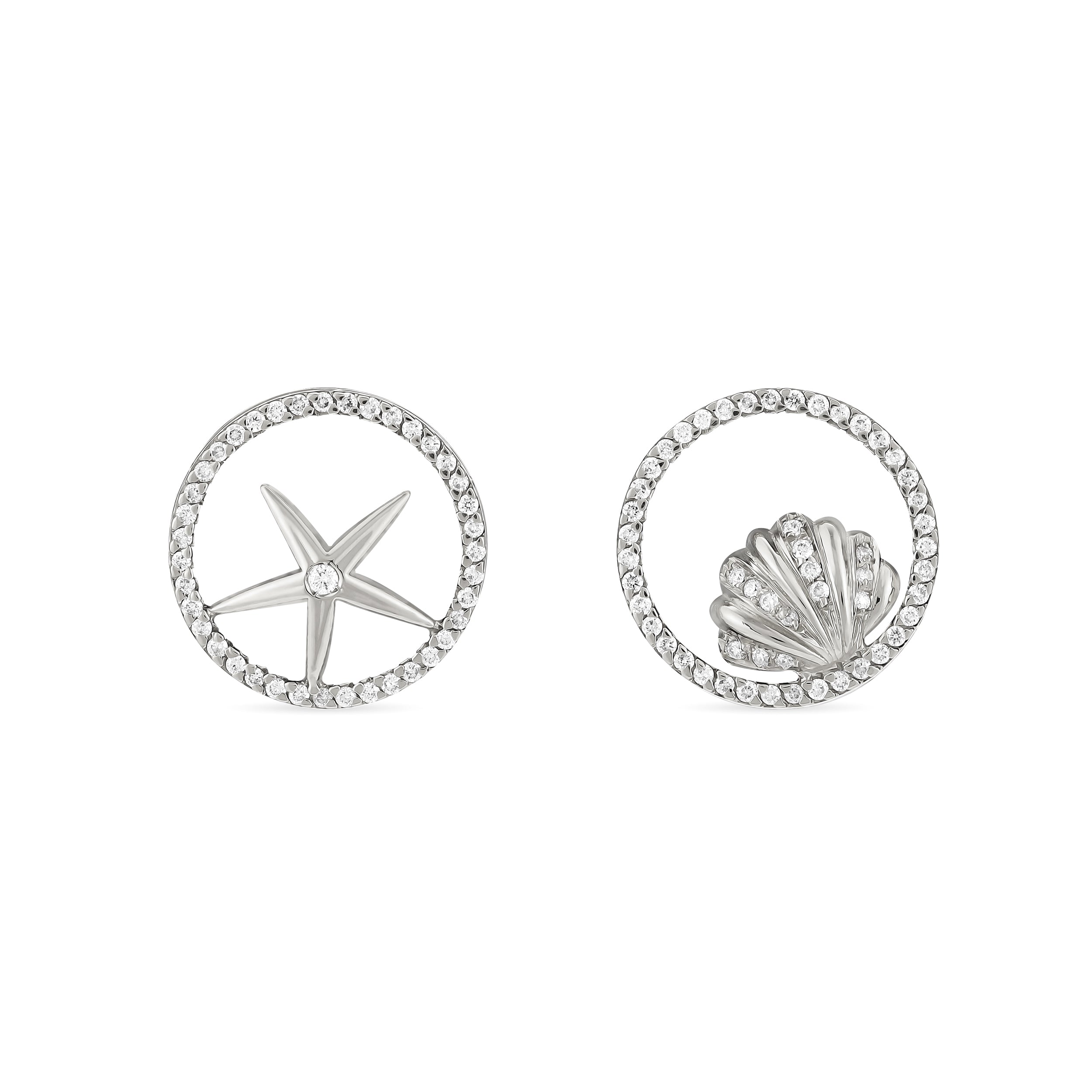 Conch Earrings