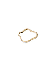 Sea Ice Single Ring