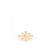 Lila ring