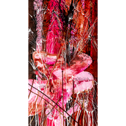 Dipthyque Symphonies